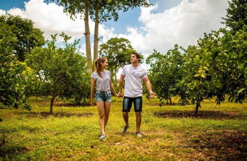 Uxmal Cabin | The Lodge At Uxmal