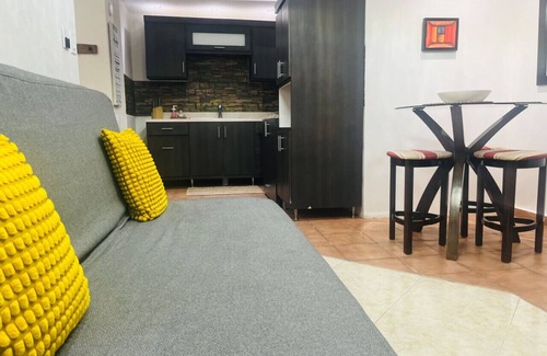 Gobernador Pinero Apartment | The Loft in San Juan