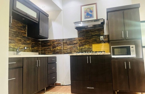 Gobernador Pinero Apartment | The Loft in San Juan