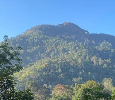 Anaviratty House | The Lovely Home Stay