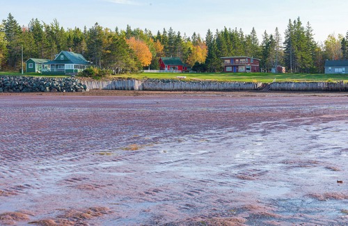 Tidnish Cottage | The Mac-Inn