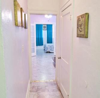 East Little Havana Apartment | The Marlin Rooster Apartments