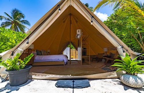 Laamu Atoll Resort | The MAVERICK SURF AND DIVE BOUTIQUE HOTEL - Book 10 Nights and get 1 Free Night - Free Speed Boat Service - Kids Stay Free