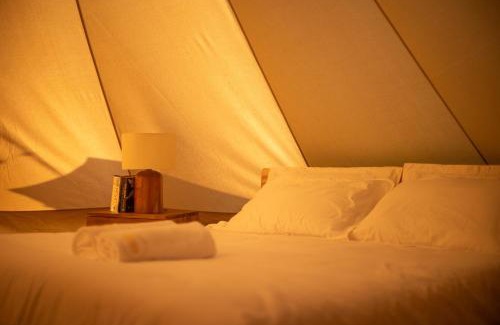 Laamu Atoll Resort | The MAVERICK SURF AND DIVE BOUTIQUE HOTEL - Book 10 Nights and get 1 Free Night - Free Speed Boat Service - Kids Stay Free