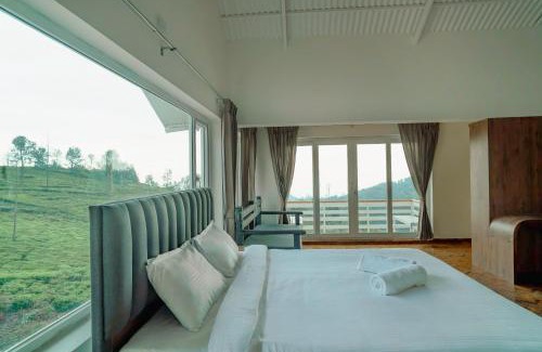 Wellington Bed & Breakfast | The Misty Meadows
