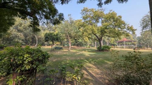 Nehru Place Apartment | The Morning Mist Serviced Apt Cook Nature