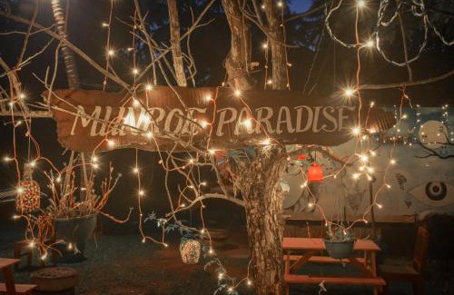 Munroe Island House | The Munroe Paradise