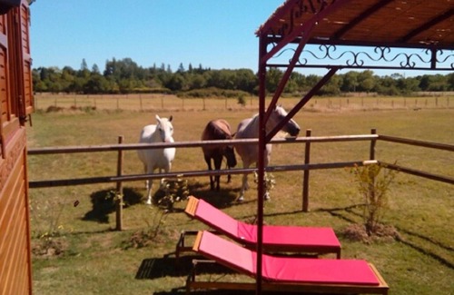 Le Cailar House | The Nanou'che "Roulotte in Camargue"