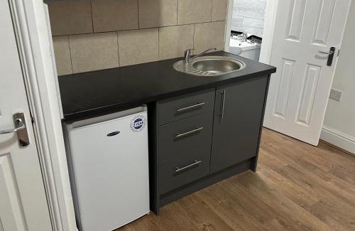 Wolverhampton Apartment | The oak tree wolves