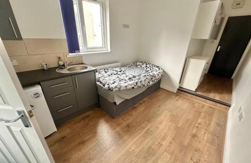 Wolverhampton Apartment | The oak tree wolves
