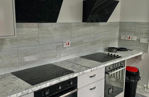 Wolverhampton Apartment | The oak tree wolves