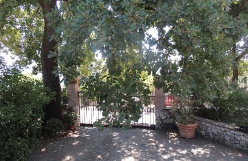 Spigno Saturnia Bed & Breakfast | The Oaks