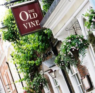 Winchester Hotel | The Old Vine
