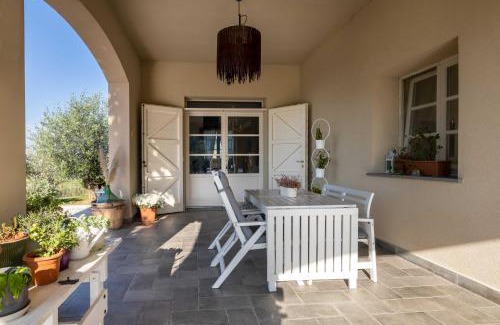 Lamporecchio House | The Olive Grove in Tuscany