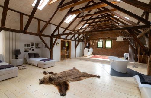 Fagaras Apartment | The Open Space