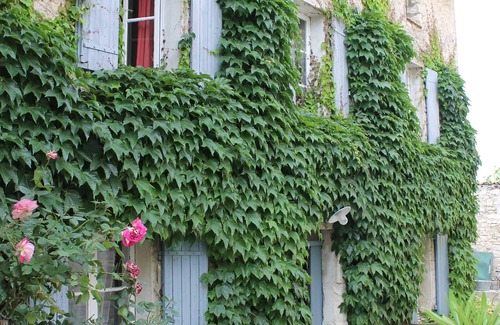 Saint-Didier House | The other side of the washhouse in Saint Didier