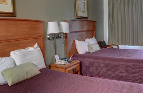 Overlook Hotel | The Palms Motel