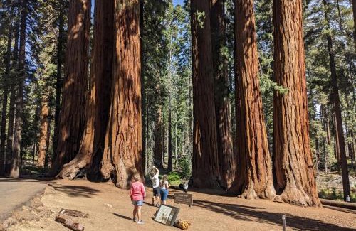 Lemon Cove Bed & Breakfast | The Parks Inn