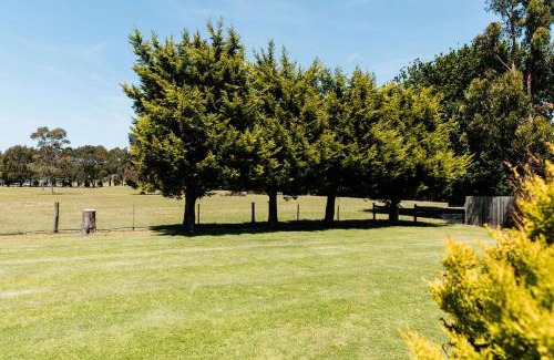 Torquay Apartment | The Pavilion on Grossman's