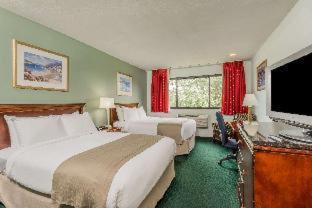 Newport East Hotel | The Pell, Part of JdV by Hyatt