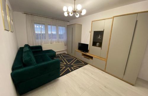 Satu Mare Apartment | The performant