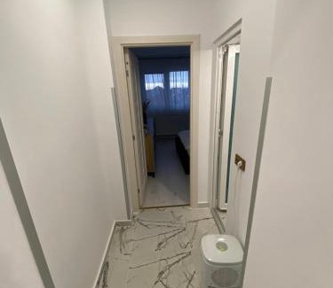Satu Mare Apartment | The performant