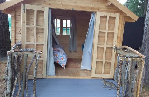 Cheviot Ski Chalet | The pines 4 x private chalets