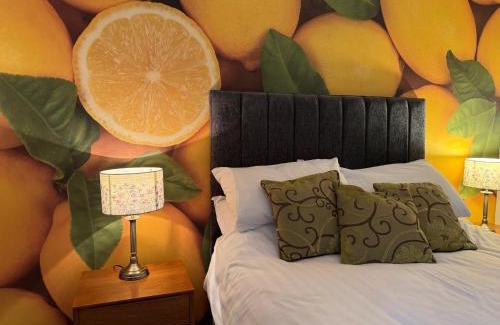 Newington Apartment | The Pleasance