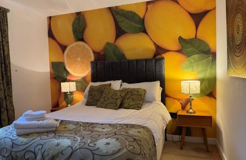 Newington Apartment | The Pleasance