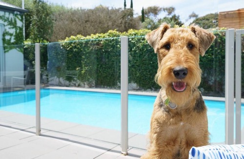 Portsea House | The Portsea Hideaway - Portsea Pool Paradiso