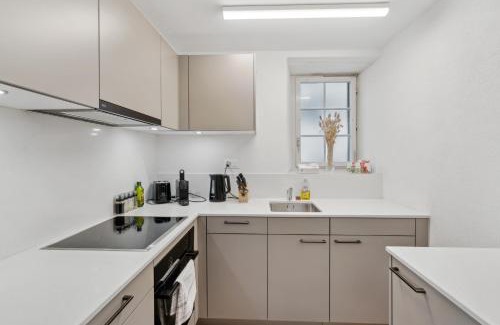 Andelfingen District Apartment | The R Apartment Cholfirst