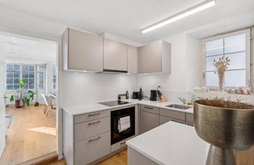 Andelfingen District Apartment | The R Apartment Cholfirst