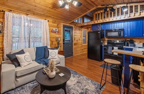 Blairsville Cabin | the racoons nest in Copperhead Lodge