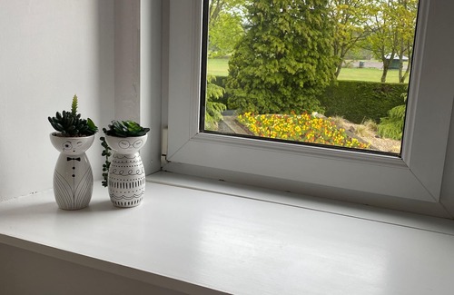 Edzell Apartment | The Ramblers Rest - recently renovated, pet friendly, close to amenities/walks.