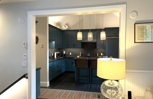 Telluride House | The Residence on South Oak, Perfect location by gondola and private hot tub!