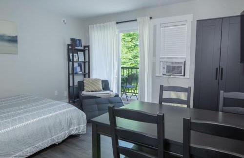 Harrison Hot Springs Apartment | The Riverbend Modern Studio at Harrison Lake