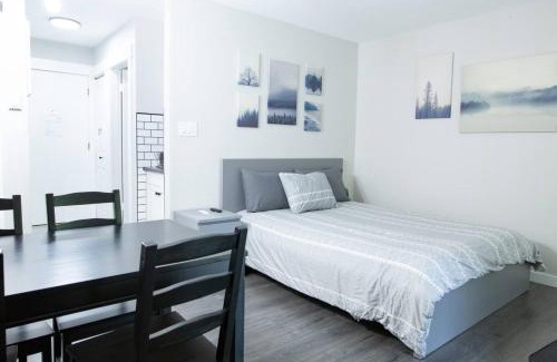 Harrison Hot Springs Apartment | The Riverbend Modern Studio at Harrison Lake