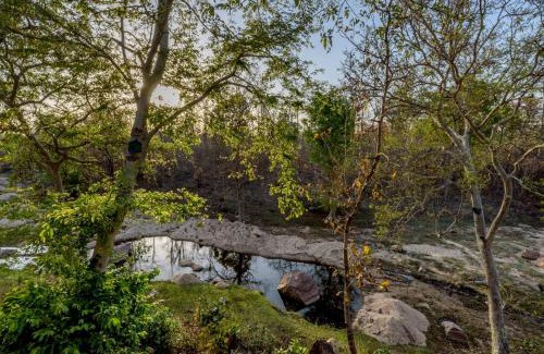 Turiya Resort | The Riverwood Forest Retreat Pench