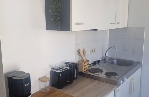Nauwieser Viertel Apartment | The Saar Jungle Design Apartment im Herzen von Saarbrücken