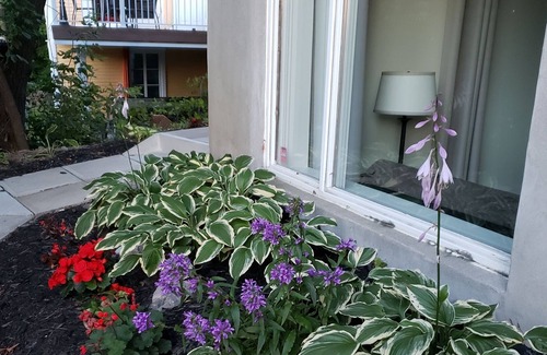Chicoutimi Apartment | The Saguenean