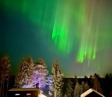 Rovaniemi House | The Saunacabin Enchanted Lapland