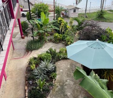 Buccoo House | The Seaside Garden Guesthouse