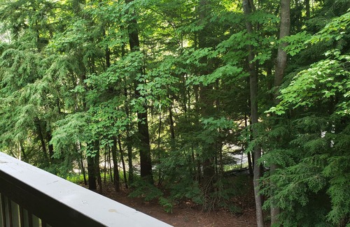Acme Condo | The Shores Condo W/King Bed Nightly, Weekly or Monthly