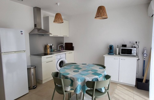 Bravone Apartment | The sigh of the palm trees