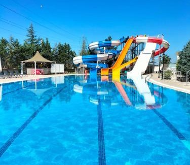 Basiskele Hotel | The Sign Kocaeli Thermal Spa Hotel &Convention Center
