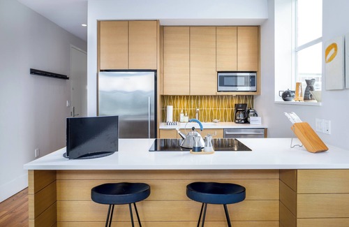 Downtown Asheville Apartment | The Sinclair: 201: Modern Urban Luxe: A NEW premium contemporary residence