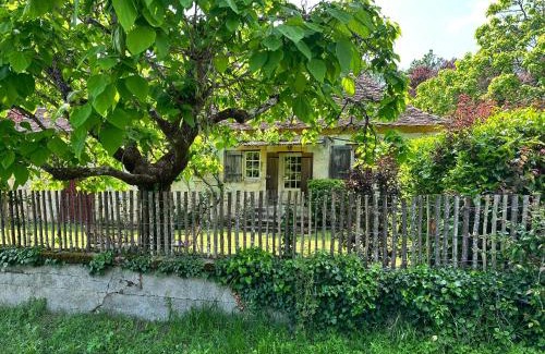 Maurens House | the Snug House