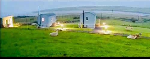 Ballyshannon Apartment | The Snuggly Sheep Farm Stay Shepherd Hut