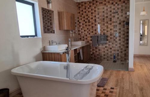 Shelley Point Apartment | The Starling