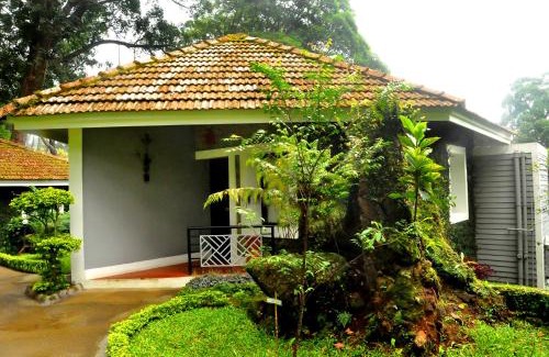 Devikolam Resort | The Tall Trees